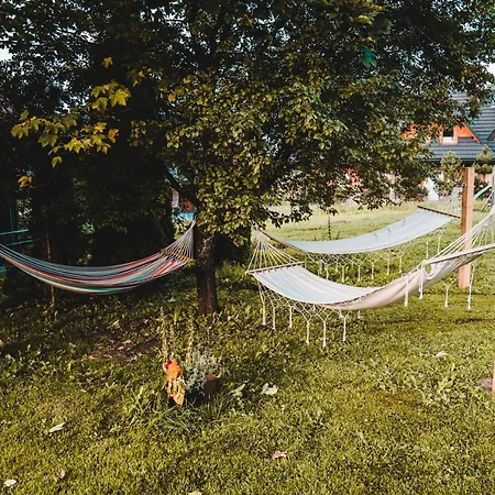 Mtb Vandrarhem Kościelisko